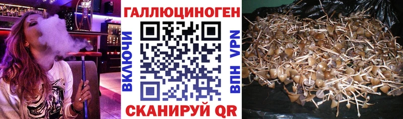 Купить где  Минеральные Воды  Галлюциногенные грибы ЛСД 